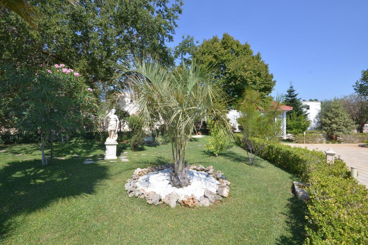 Villa Petra Chiara Locorotondo Εξωτερικό φωτογραφία